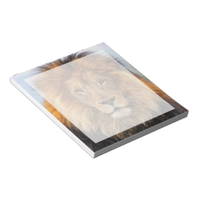 African Lion 1 Notepad (Angled)