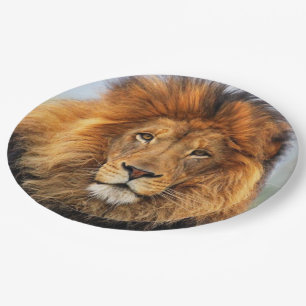 African Lion 1 Paper Plate