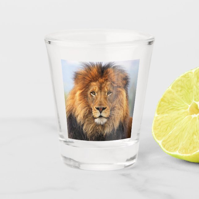 African Lion 1 Shot Glass (Front)