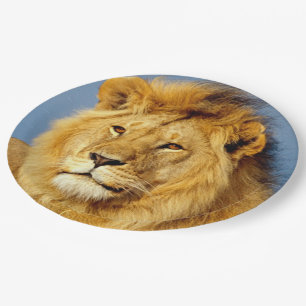 African Lion 2 Paper Plate
