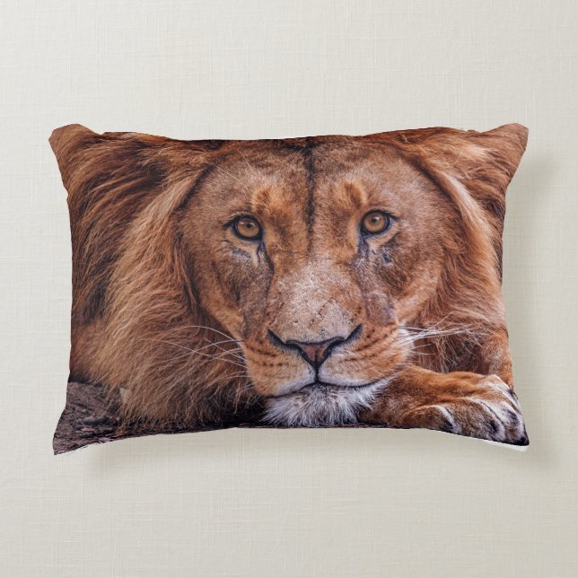 African Lion Accent Pillow (Front)