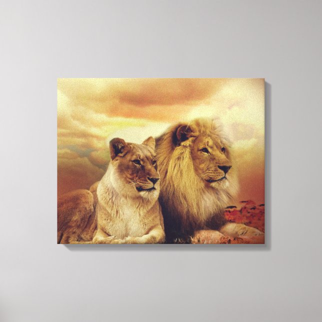 African Lion And Lioness Canvas Print (Front)