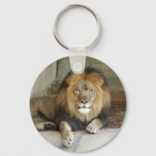 african-lion-b-2 keychain