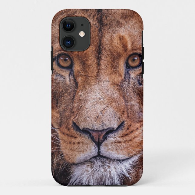 African Lion Case-Mate iPhone Case (Back)