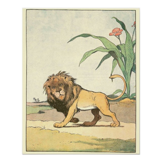 African Lion Children's Storybook Perfect Poster (Front)