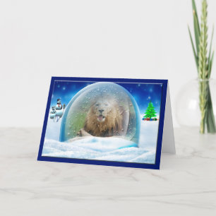 African Lion Christmas Greeting Card