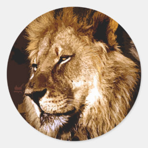 African Lion Classic Round Sticker