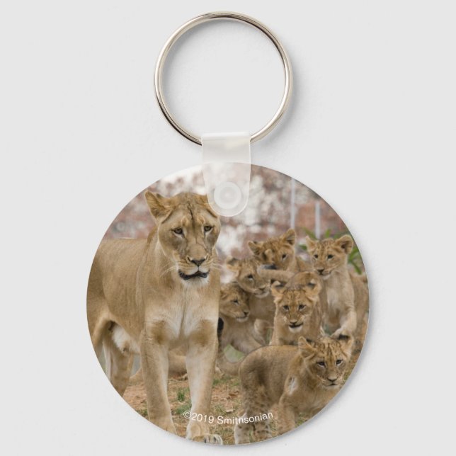 African Lion Cubs with Mother Keychain (Front)