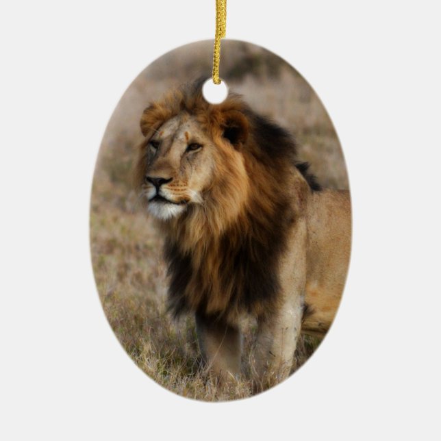 African Lion in Grass Ceramic Ornament (Front)