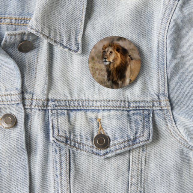 African Lion in Grass Silver Plated 2 Inch Round Button (In Situ)