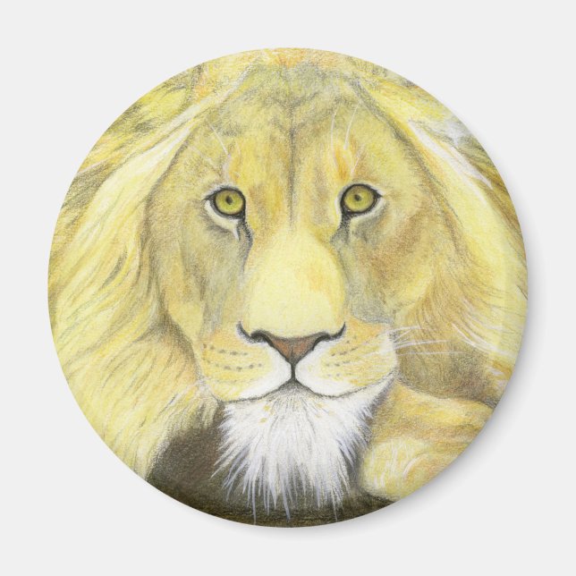 African Lion Magnet (Front)