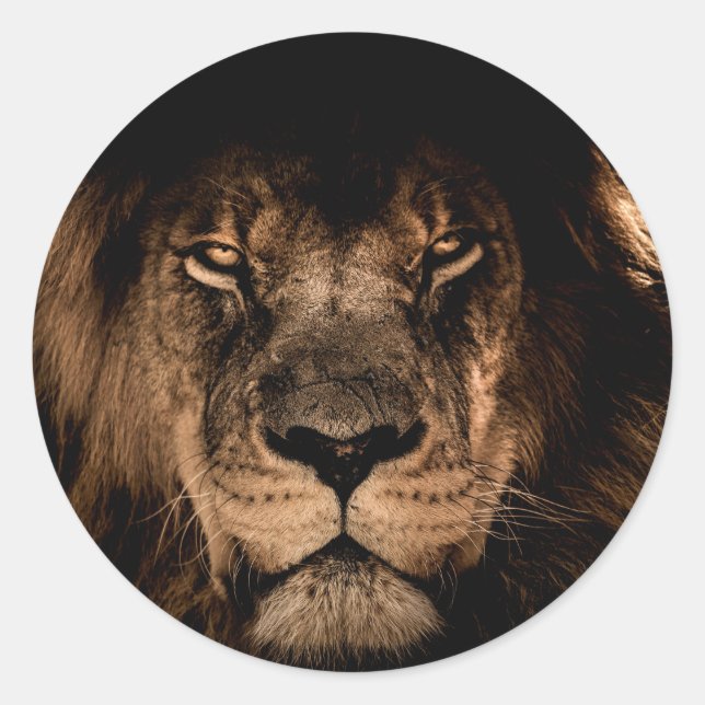 african lion mane close eyes classic round sticker (Front)