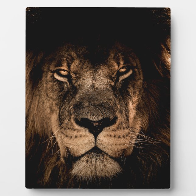 african lion mane close eyes plaque (Front)
