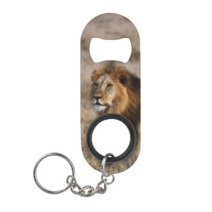 African Lion Mini Bottle Opener w/Keychain