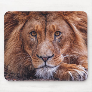African Lion Mouse Pad