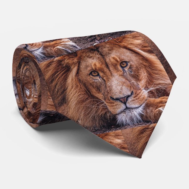 African Lion Neck Tie (Rolled)