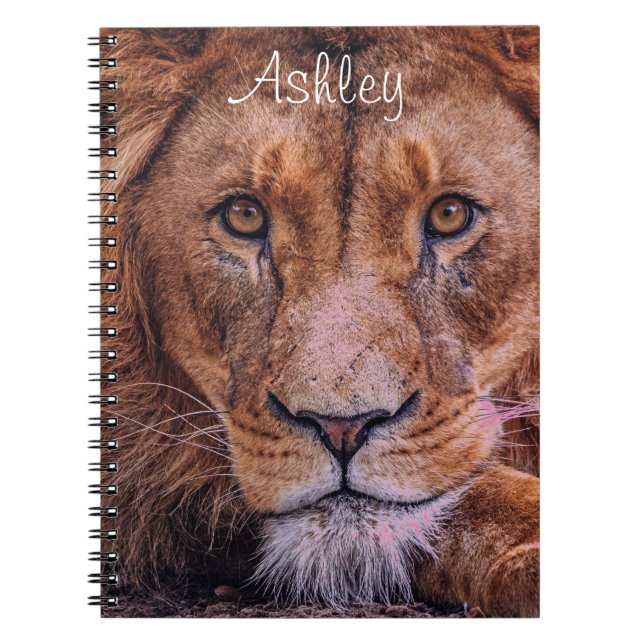 African Lion Notebook (Front)