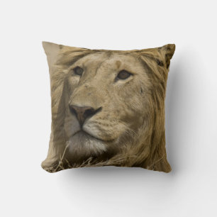 African Lion, Panthera leo, Portrait of a Throw Pillow