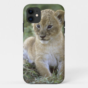 African lion, Panthera leo), Tanzania, iPhone 11 Case
