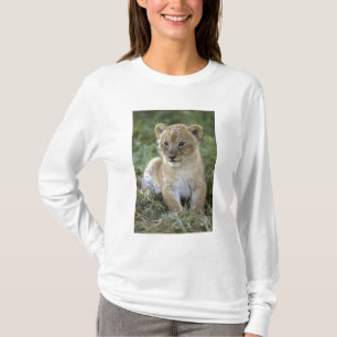 African lion, Panthera leo), Tanzania, T-Shirt