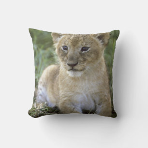 African lion, Panthera leo), Tanzania, Throw Pillow