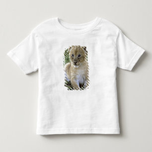 African lion, Panthera leo), Tanzania, Toddler T-shirt