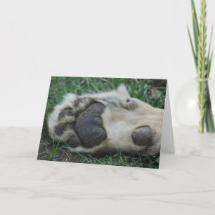 "African Lion Paw" Greeting Card