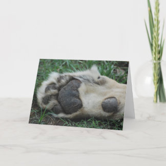 "African Lion Paw" Greeting Card