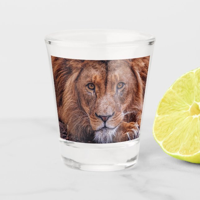 African Lion Shot Glass (Front)