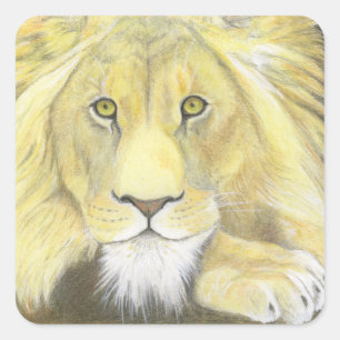 African Lion Square Sticker
