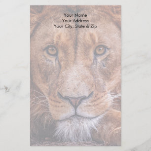 African Lion Stationery