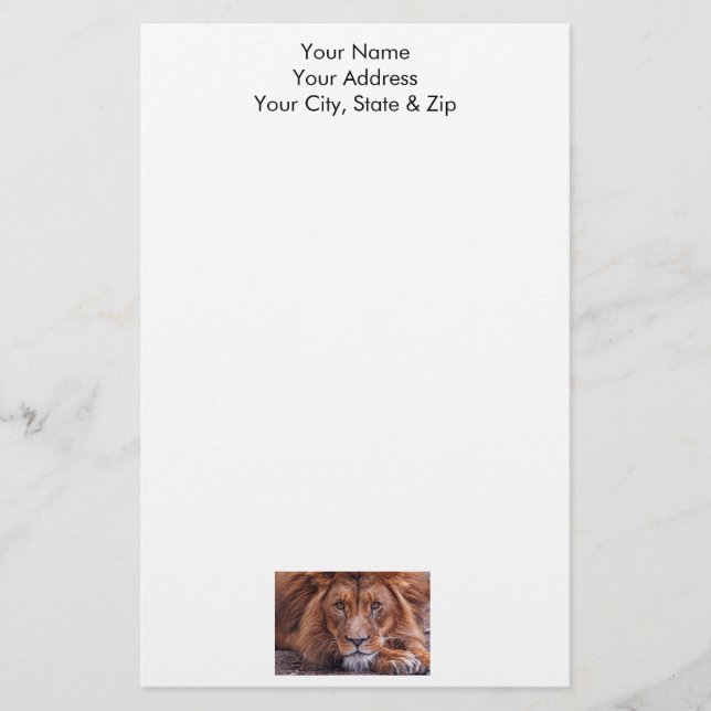 African Lion Stationery (Front)