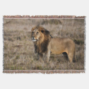 African Lion Throw Blanket