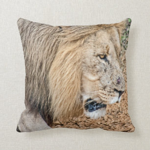African Lion Throw Pillow
