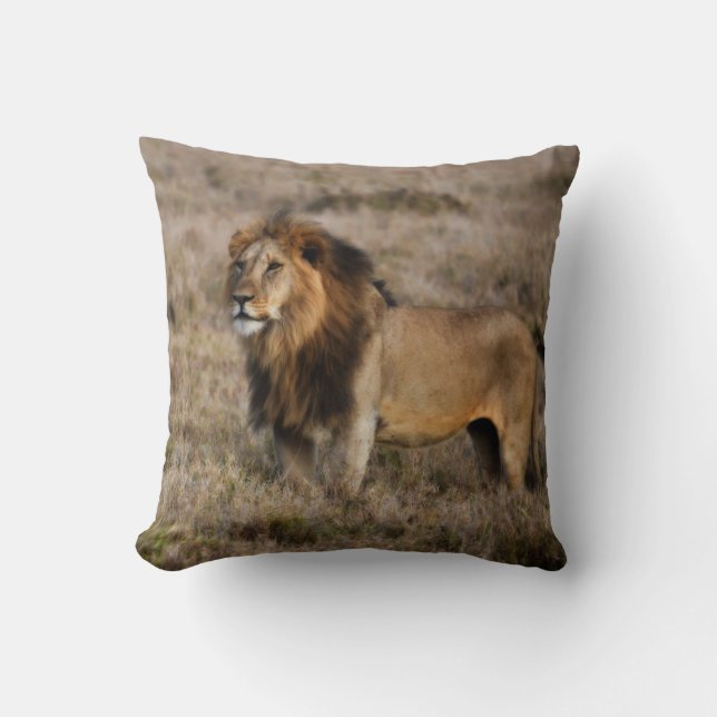 African Lion Throw Pillow (Front)