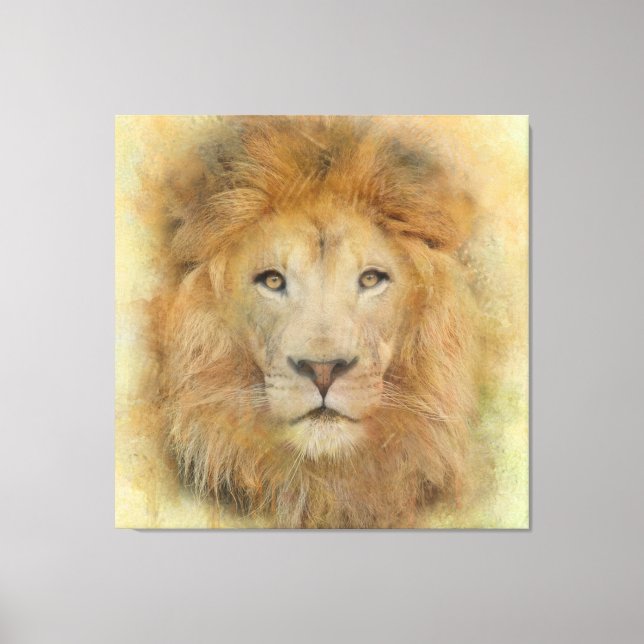  African Lion Wildlife Watercolor Portrait Canvas Print (Front)