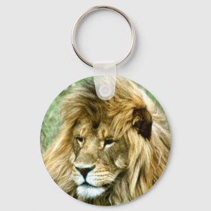 African male Lion Keychain