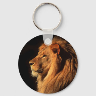 African Male Lion Photographed by Steven Holt Keychain