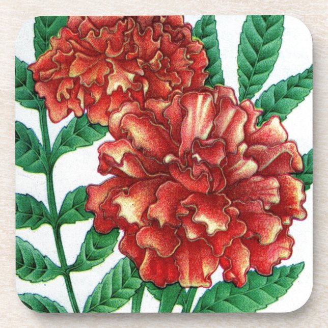 African marigolds coaster (Front)
