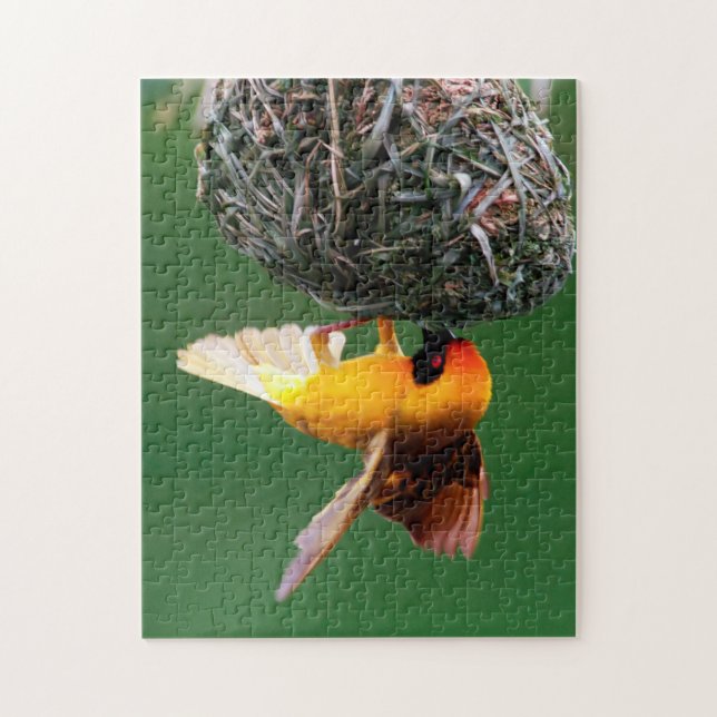African Masked-Weaver (Ploceus Velatus) Jigsaw Puzzle (Vertical)