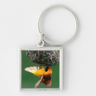 African Masked-Weaver (Ploceus Velatus) Keychain