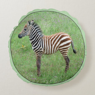 African Ngorongoro Baby Zebra Round Pillow