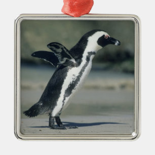 African Penguin Metal Ornament