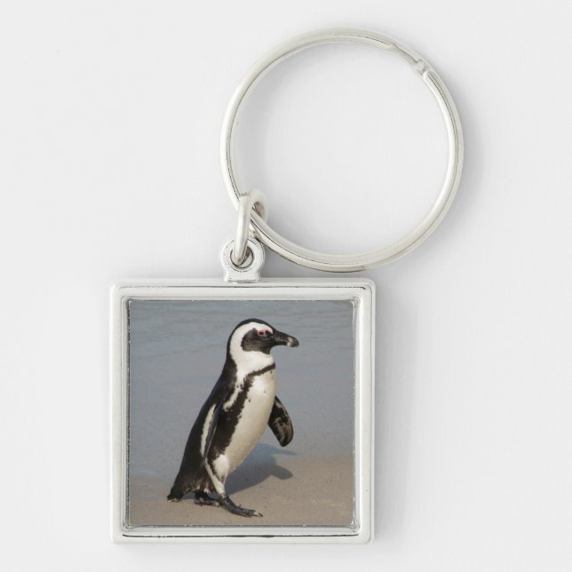 African Penguin Walking Keychain (Front)