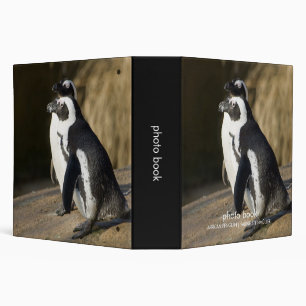 African Penguins • Photo Book Binder