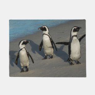 African Penguins Spheniscus Demersus Doormat