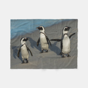 African Penguins Spheniscus Demersus Fleece Blanket
