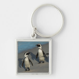 African Penguins Spheniscus Demersus Keychain