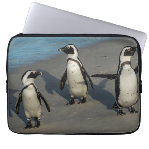 African Penguins   Spheniscus Demersus Laptop Sleeve