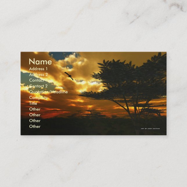 African Planes Business Card Template (Front)